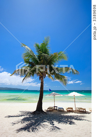 Perfect vacation 3389698