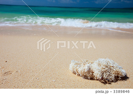 Perfect tropical beach 3389846