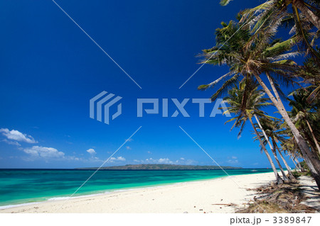 Tropical Paradise 3389847