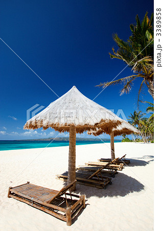 Tropical Paradise Tropical Paradise 3389858