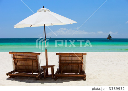Tropical Paradise 3389932
