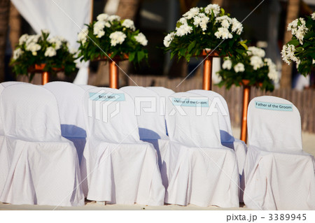 Wedding Ceremony Wedding Ceremony 3389945