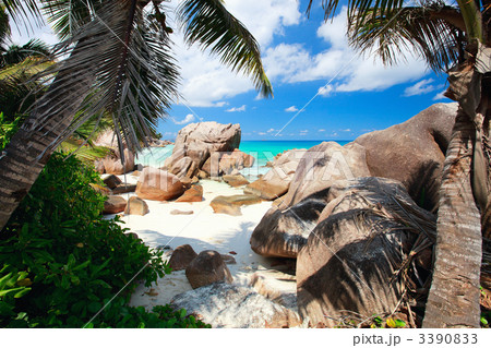 Secluded beach in Seychelles Secluded beach in Seychelles 3390833