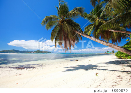 Perfect beach in Seychelles 3390879