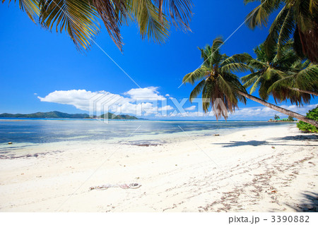 Perfect beach in Seychelles 3390882