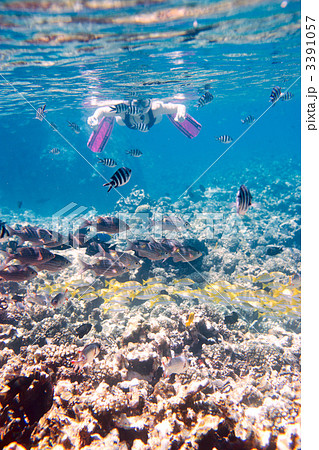 Woman snorkeling 3391057