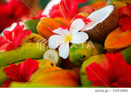 Coconuts, fruits and tropical flowers 3391066