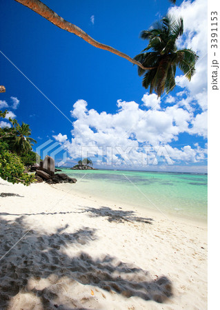 Idyllic tropical beach 3391153