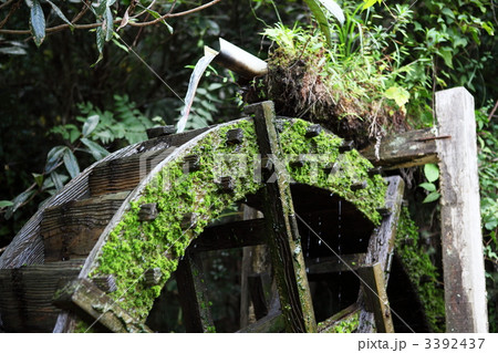 緑林の水車２ 3392437