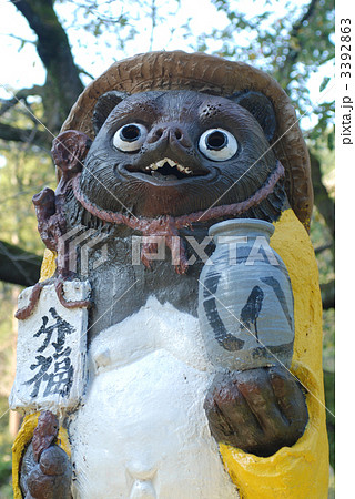 茂林寺の狸 3392863