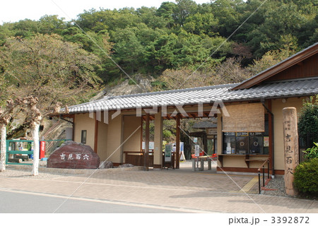 吉見百穴 3392872