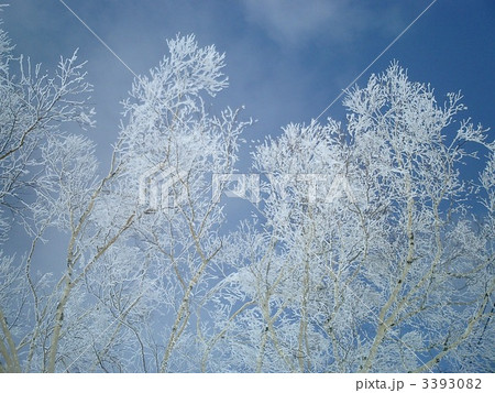 霧氷 霧氷 3393082