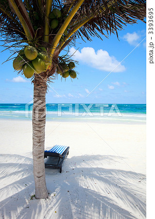 Caribbean beach 3393695