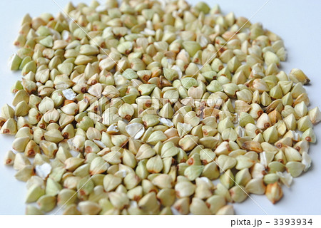 新そば、できました(丸ぬき・アップ) 新そば、できました(丸ぬき・アップ) 3393934