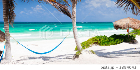 Caribbean coast 3394043
