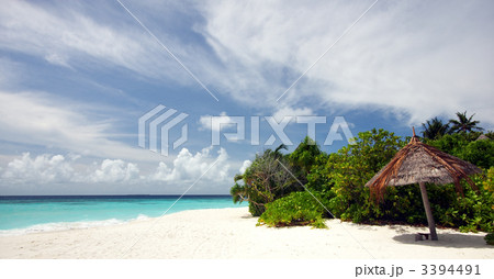 Beautiful scenery at the beach 3394491