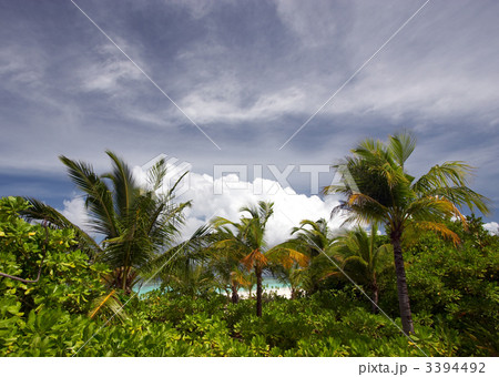 Storm coming 3394492