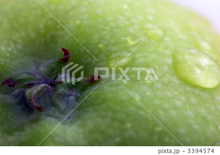 Green apple Green apple 3394574