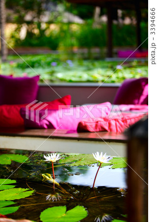 Floating restaurant 3394666