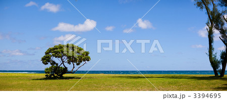 Seascape Seascape 3394695