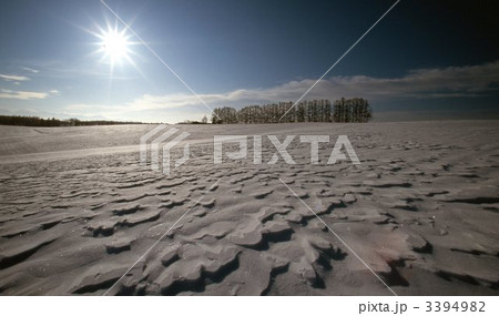 マイルドセブンの丘 マイルドセブンの丘 3394982