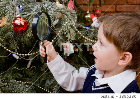 Exploring Christmas tree 3395230