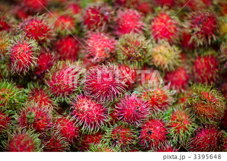 Rambutans 3395648