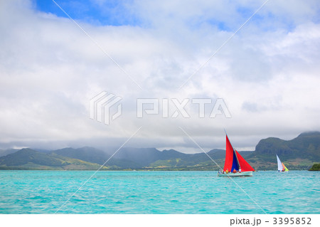 Regatta 3395852