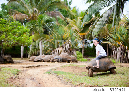 Riding Giant Turtle 3395991