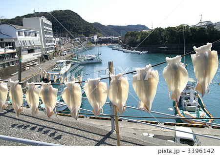 イカの天日干し 3396142