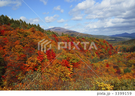 松川渓谷の紅葉 3399159