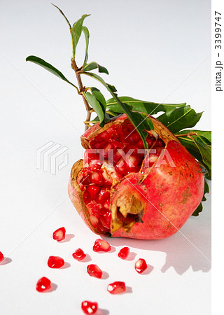 赤いザクロの実 3399747