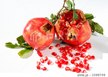 赤いザクロの実 3399749