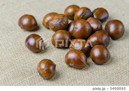 麻布の上の甘栗 麻布の上の甘栗 3400093