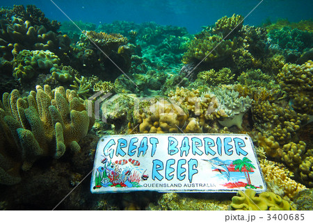 グレートバリアリーフの海中　サイン付 3400685