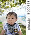 暑いのでちょっと休憩 3400858