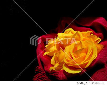 薔薇の贈り物 3400895