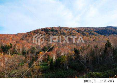 志賀高原の紅葉した山の稜線 3403203