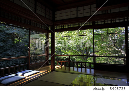 瑠璃光院の青もみじ 瑠璃光院の青もみじ 3403723