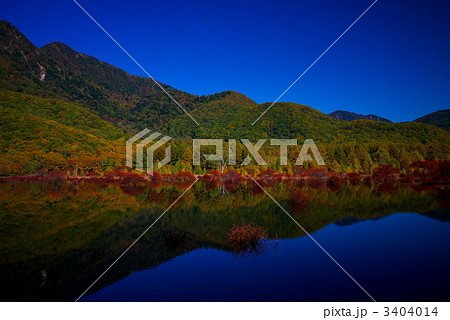 日光　小田代が原11 3404014