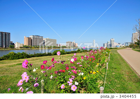 新潟市の風景 3404455