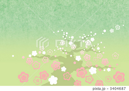 梅 梅 3404687