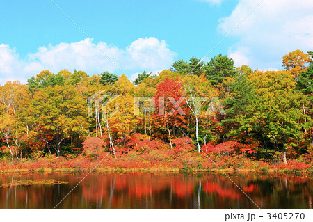 志賀高原一沼の紅葉の写真素材