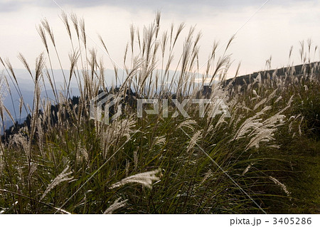 生石高原 3405286