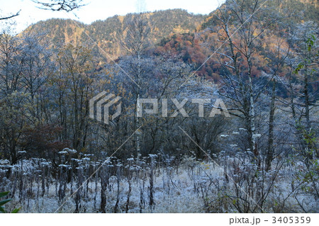 早朝の田代湿原 3405359