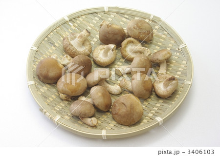 椎茸 3406103