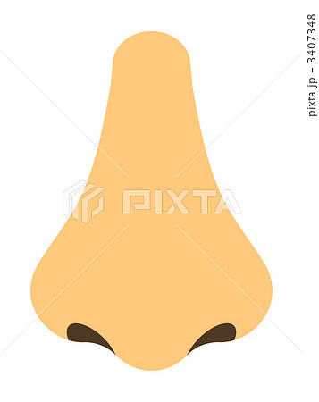 人の鼻のイラスト素材 3407348 Pixta