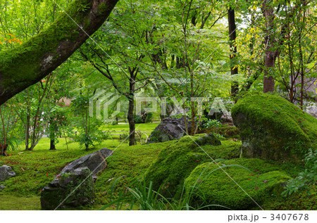 宝厳院　獅子吼の庭（京都市右京区／嵐山） 3407678