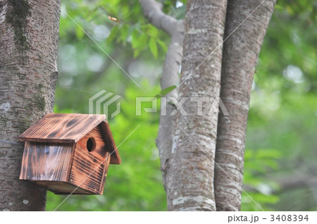 小鳥の巣箱 3408394