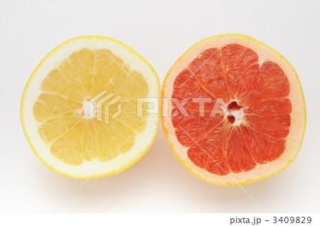 グレープフルーツ 3409829